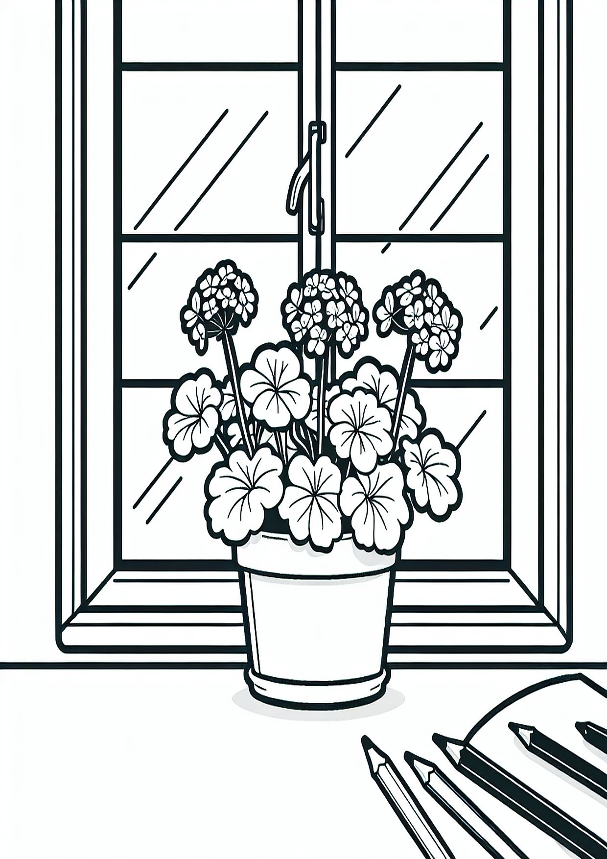 Vazoninė pelargonija ant palangės